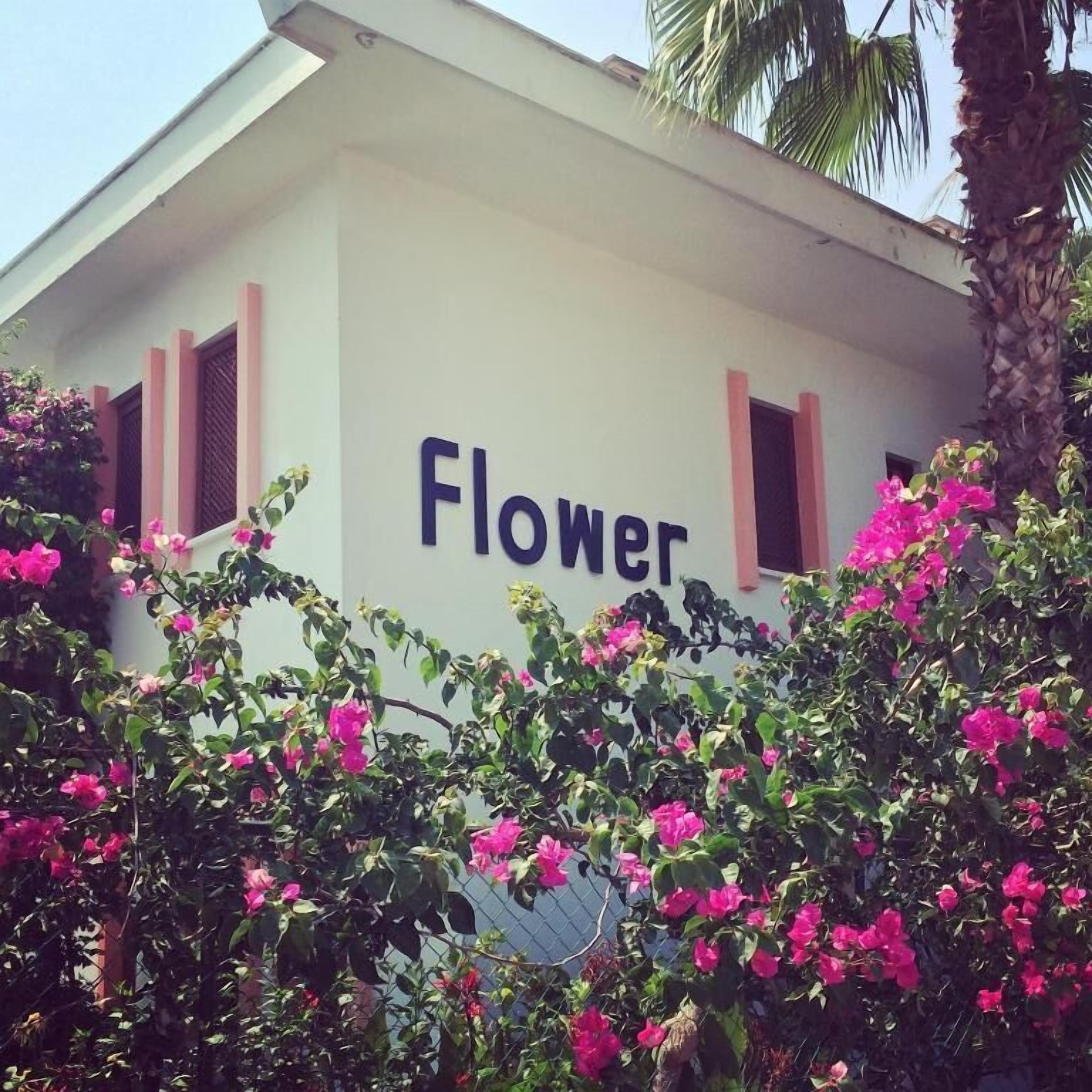 Foto - Flower Villa Apart