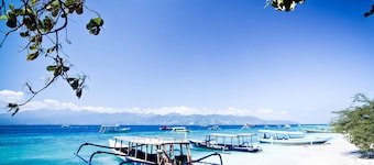 Blue Marlin Trawangan
