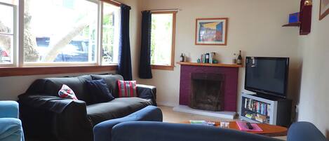 A living room with a fireplace, a sofa, a television, and a bookshelf.