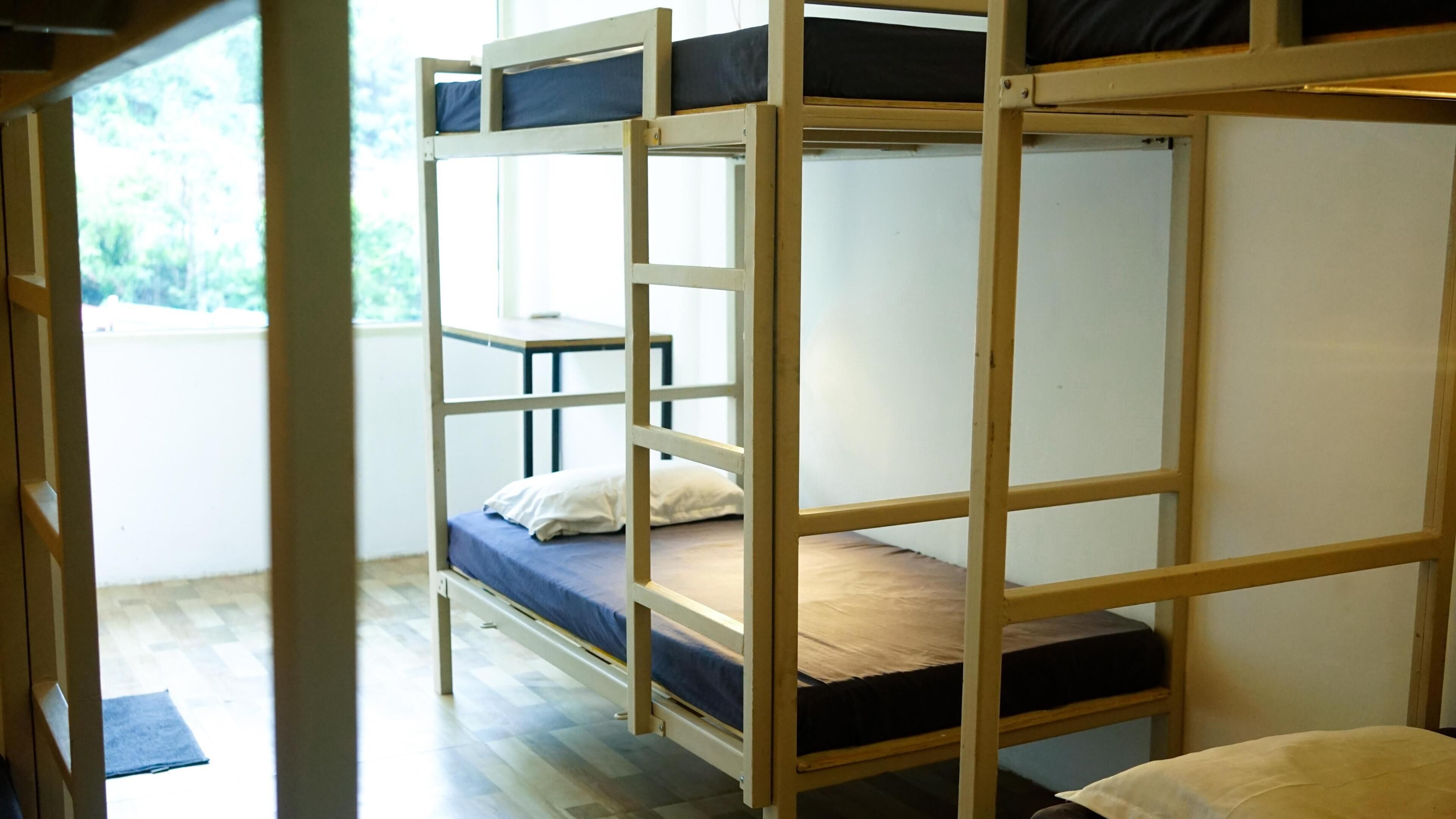 Classic Shared Dormitory, Hill View