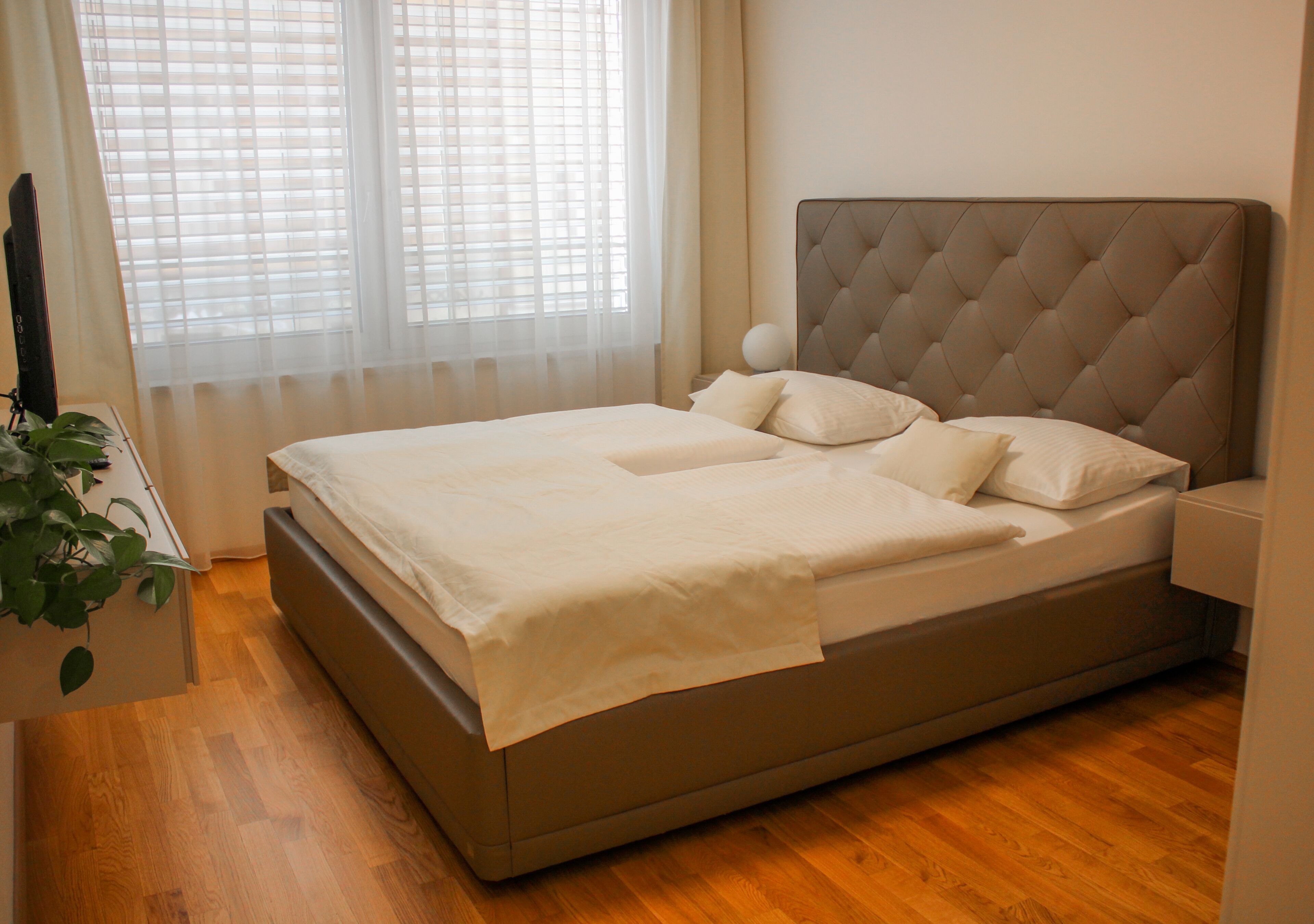 Vista desde la habitación