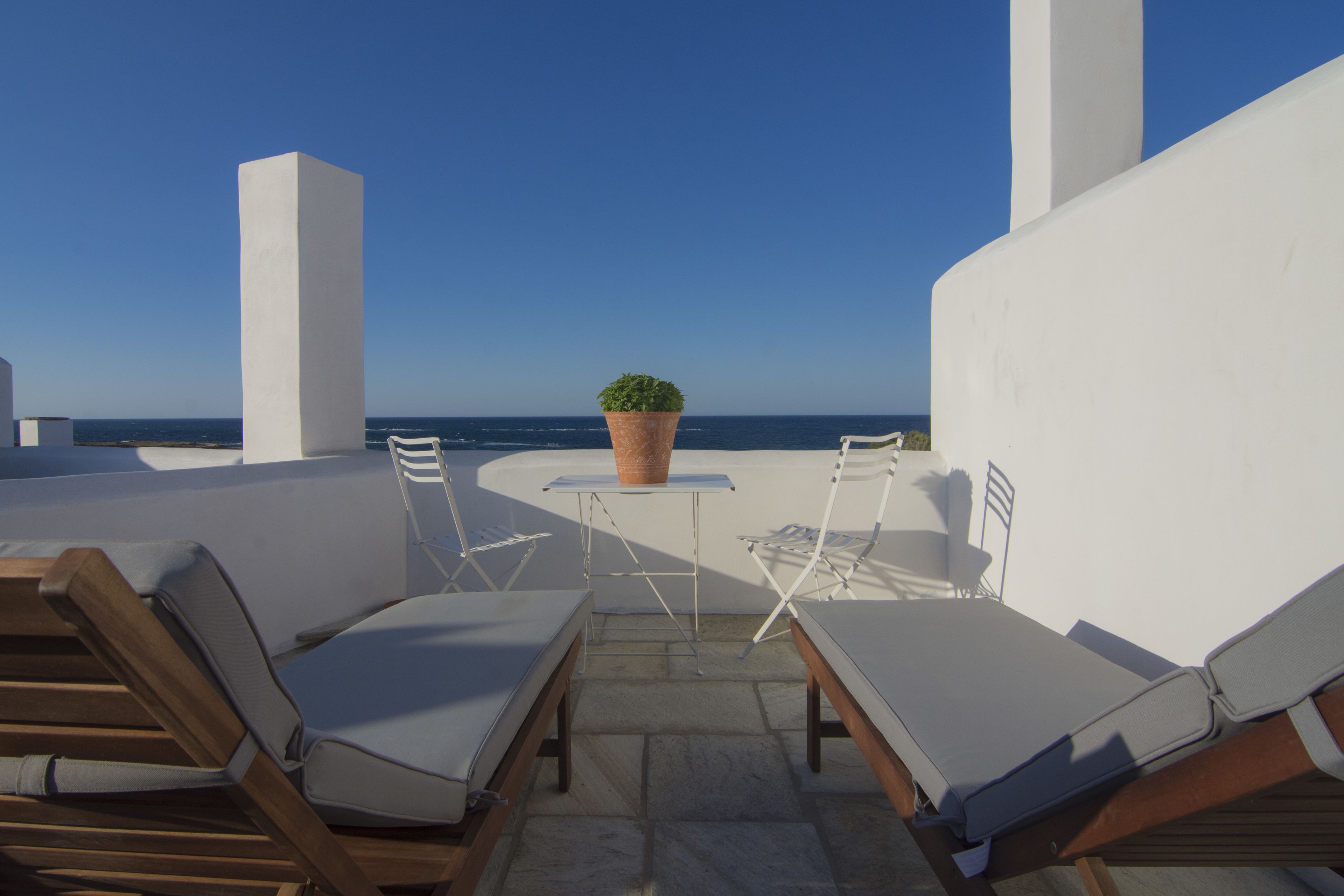 A rooftop terrace with lounge chairs, a small table, and a potted plant.