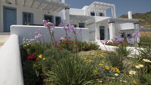 Un edificio moderno blanco con puertas azules y un jardín lleno de flores de distintos tipos.
