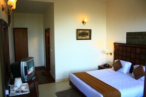 Basic Room | View from room