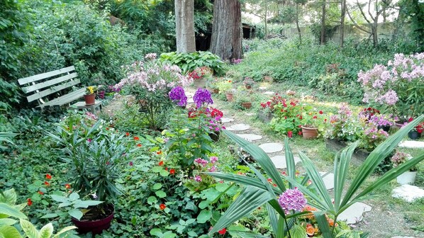 Relax amidst lush gardens with a serene pathway and a comfortable bench.
