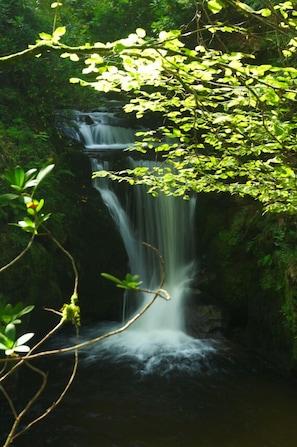 A waterfall surrounded by dense greenery. - Lovely Apartment in Baden-Baden (Baden-Baden)