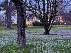 City view - Lovely Apartment in Baden-Baden (Baden-Baden)
