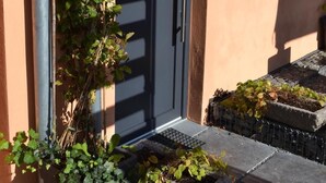 A modern building with a grey door, metal pipes, and potted plants.