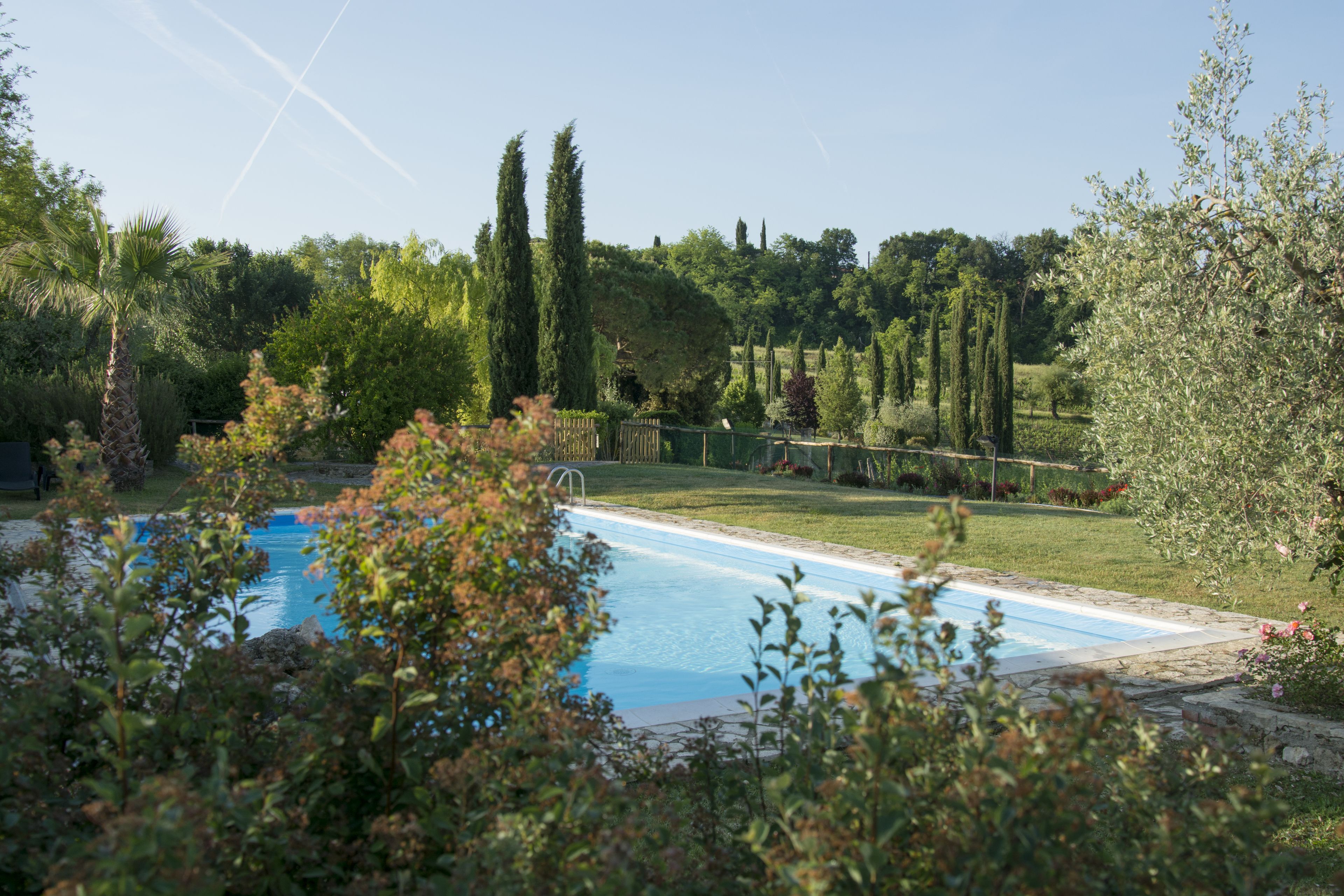 Una piscina rodeada de abundante vegetación y altos árboles.