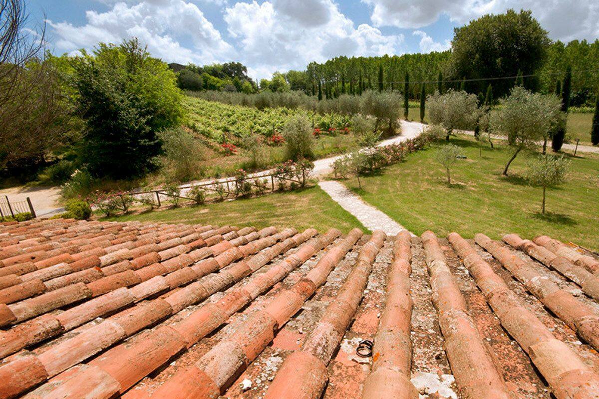A vineyard with terracotta roof tiles and a dirt path.