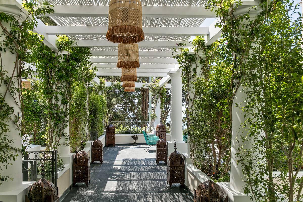 garden view