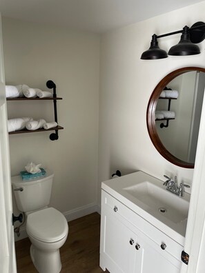 A bathroom with a toilet, a white sink, a mirror, and towel racks.