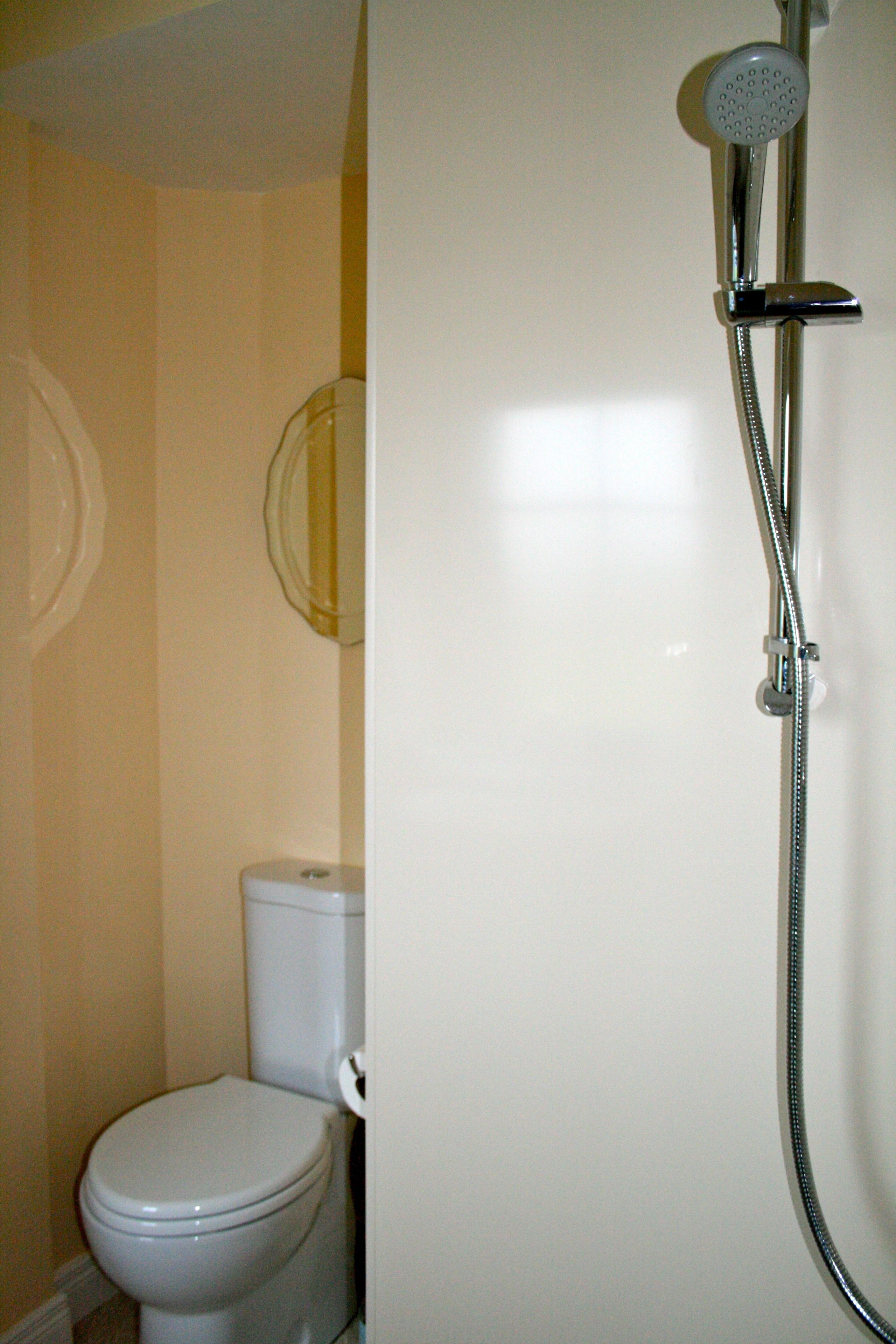 A bathroom with a toilet and a shower.