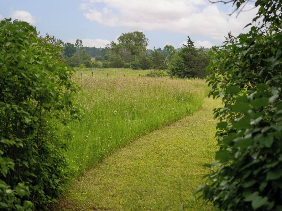A pathway through a grassy field with trees in the background.