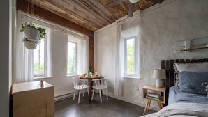 Studiosuite, 1 queensize-seng, tekjøkken, hageutsikt (B)