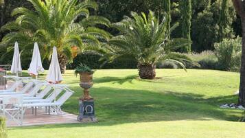 Un jardín bien cuidado con palmeras, césped y mobiliario exterior con sombrillas.