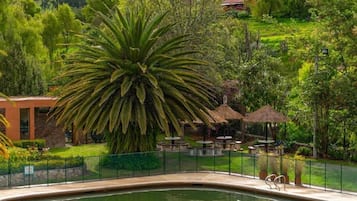 A pool area with a large palm tree, outdoor seating, and a fenced garden.