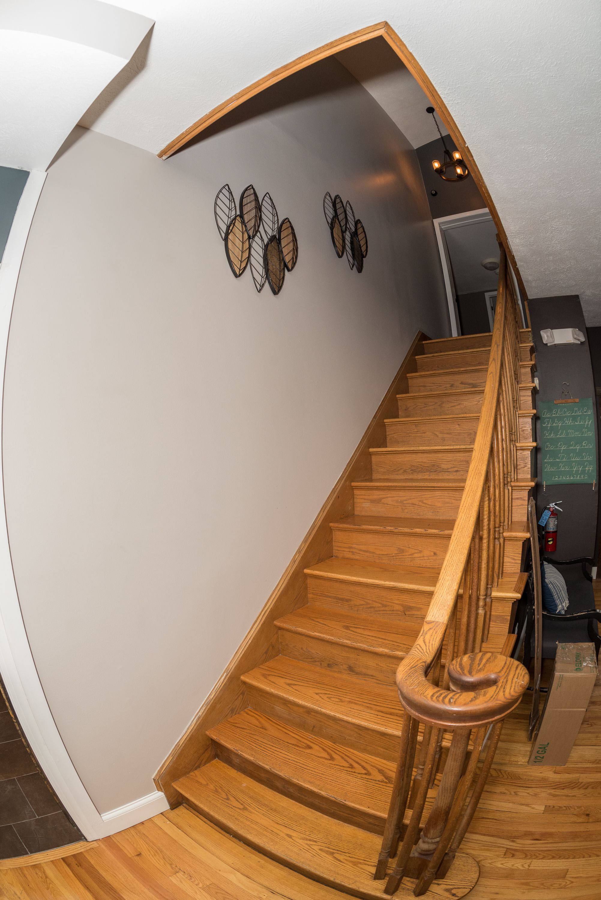 A wooden staircase with a curved wall design, a handrail, and a fire extinguisher on the landing.
