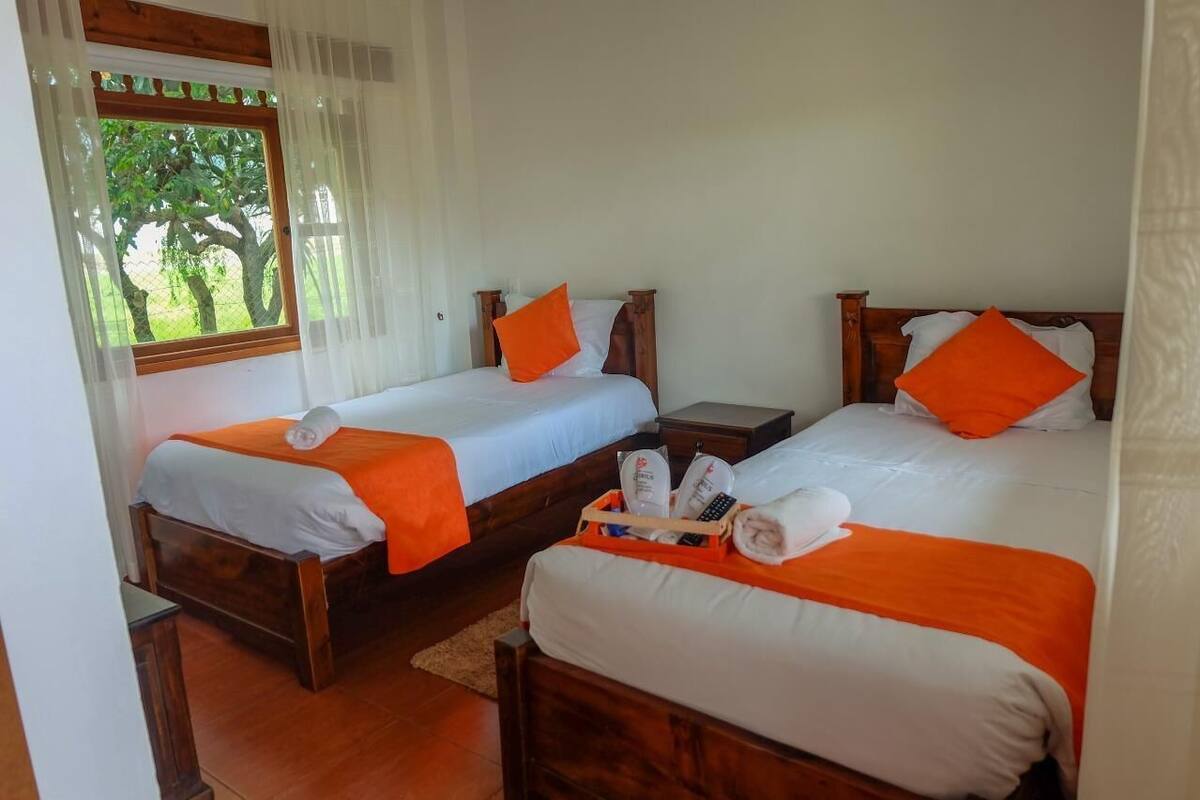 Premium bedding, down comforters, blackout drapes