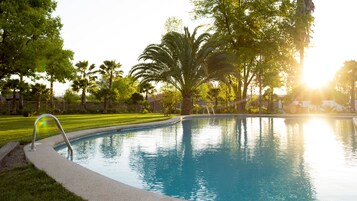 Una piscina rodeada de césped cuidado y palmeras, bajo un cielo despejado y con luz solar.