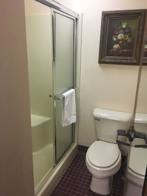 Suihku, ilmaiset hygieniatuotteet, hiustenkuivaaja, pyyhkeet