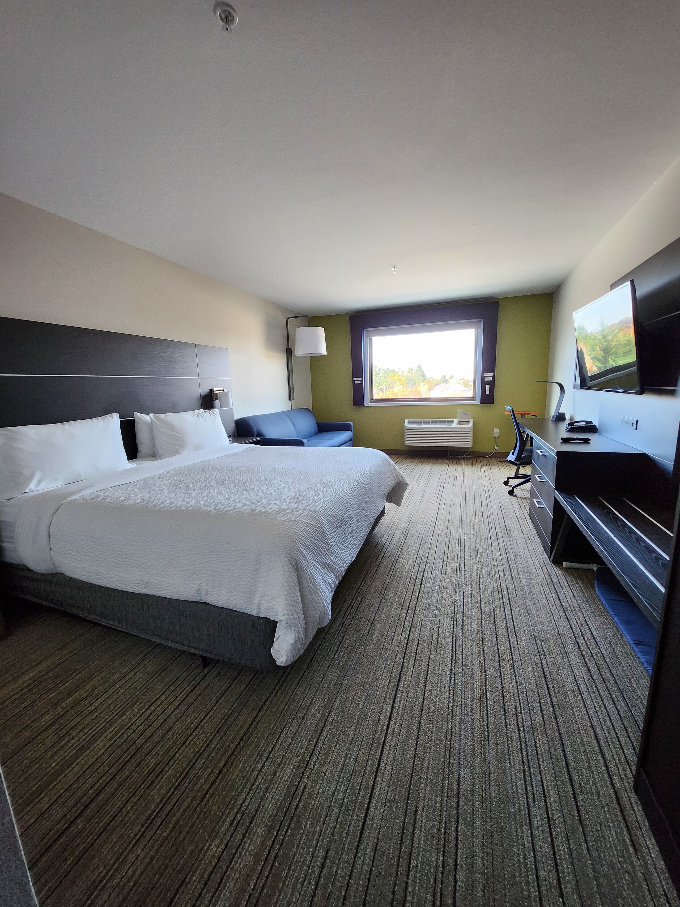 Standard Room, 1 King Bed, Accessible (Roll-In Shower) | In-room safe, desk, laptop workspace, blackout drapes