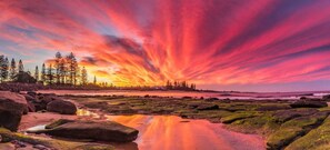A coastal landscape with a sunset, rocky terrain, and trees. - Nova Mooloolaba Beach (Mooloolaba)