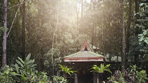 A traditional wooden structure with a tiled roof, surrounded by lush greenery and trees. - Villa Israel Eco Park El nido Palawan (El Nido)