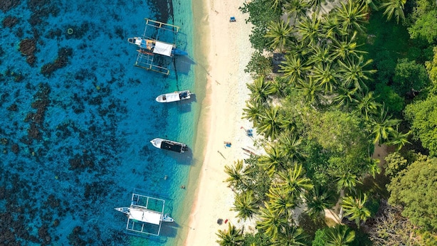 An aerial view of a beach with several boats anchored near the shore, surrounded by dense palm trees. - Villa Israel Eco Park El nido Palawan (El Nido)