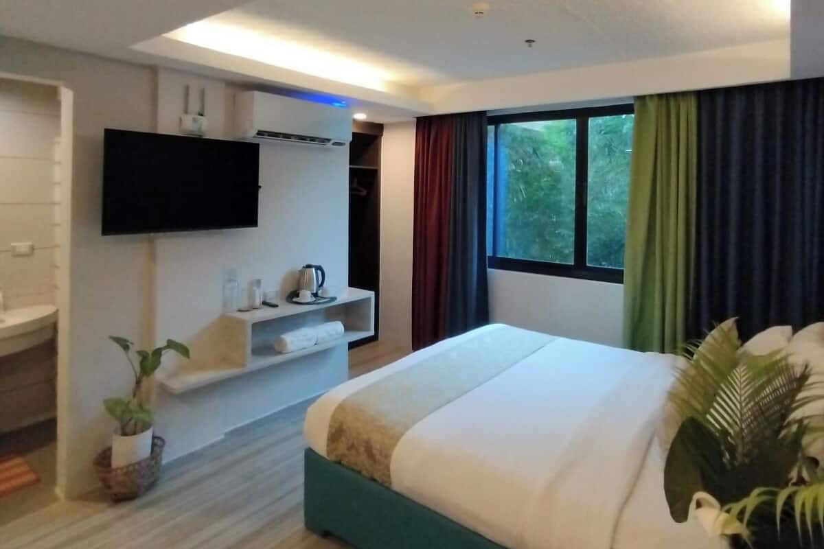 Habitación de hotel con cama, televisor montado en la pared, pequeño escritorio con planta y ventana con cortinas.