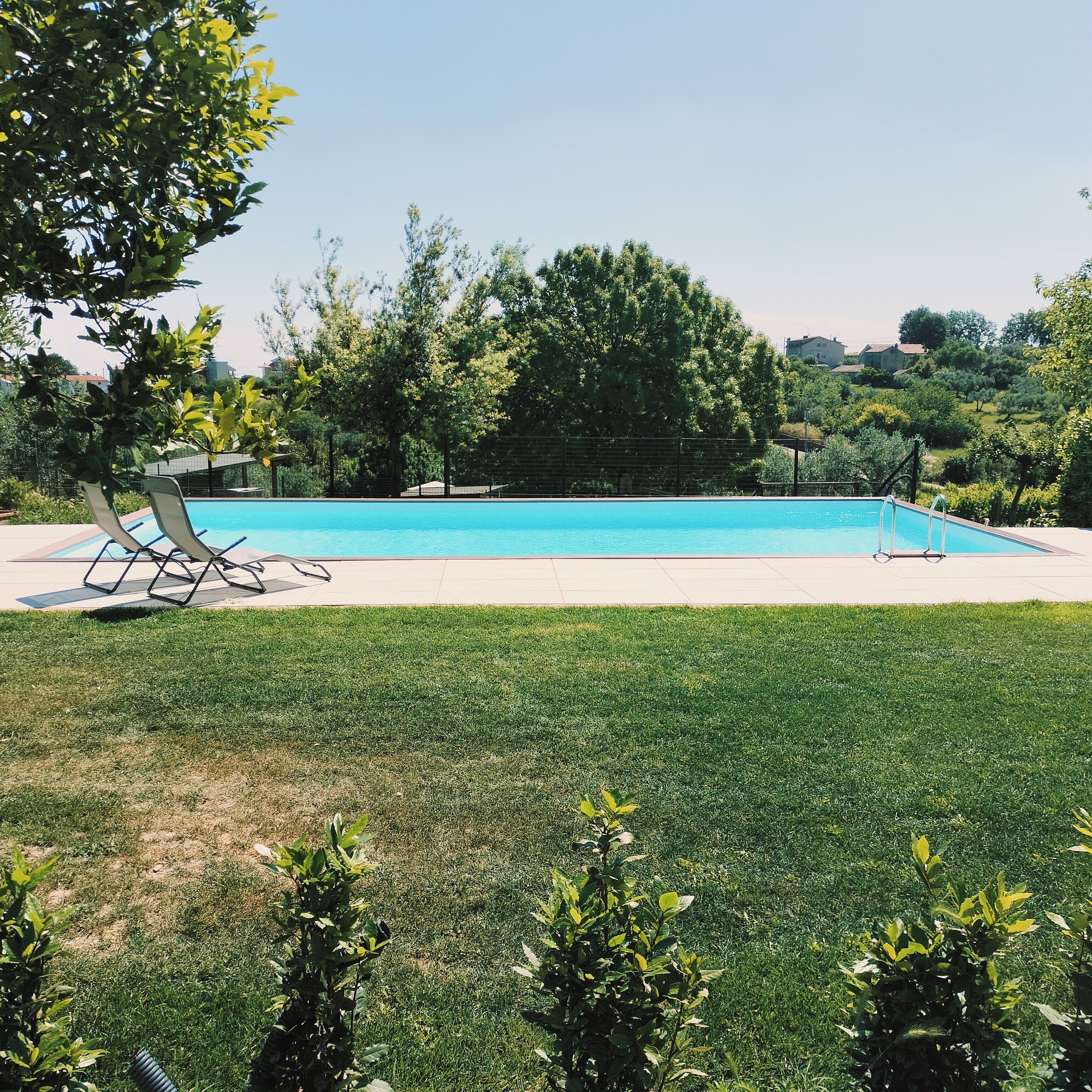 Ein Swimmingpool mit klarem, blauem Wasser, umgeben von einem gepflegten Rasen und Bäumen.