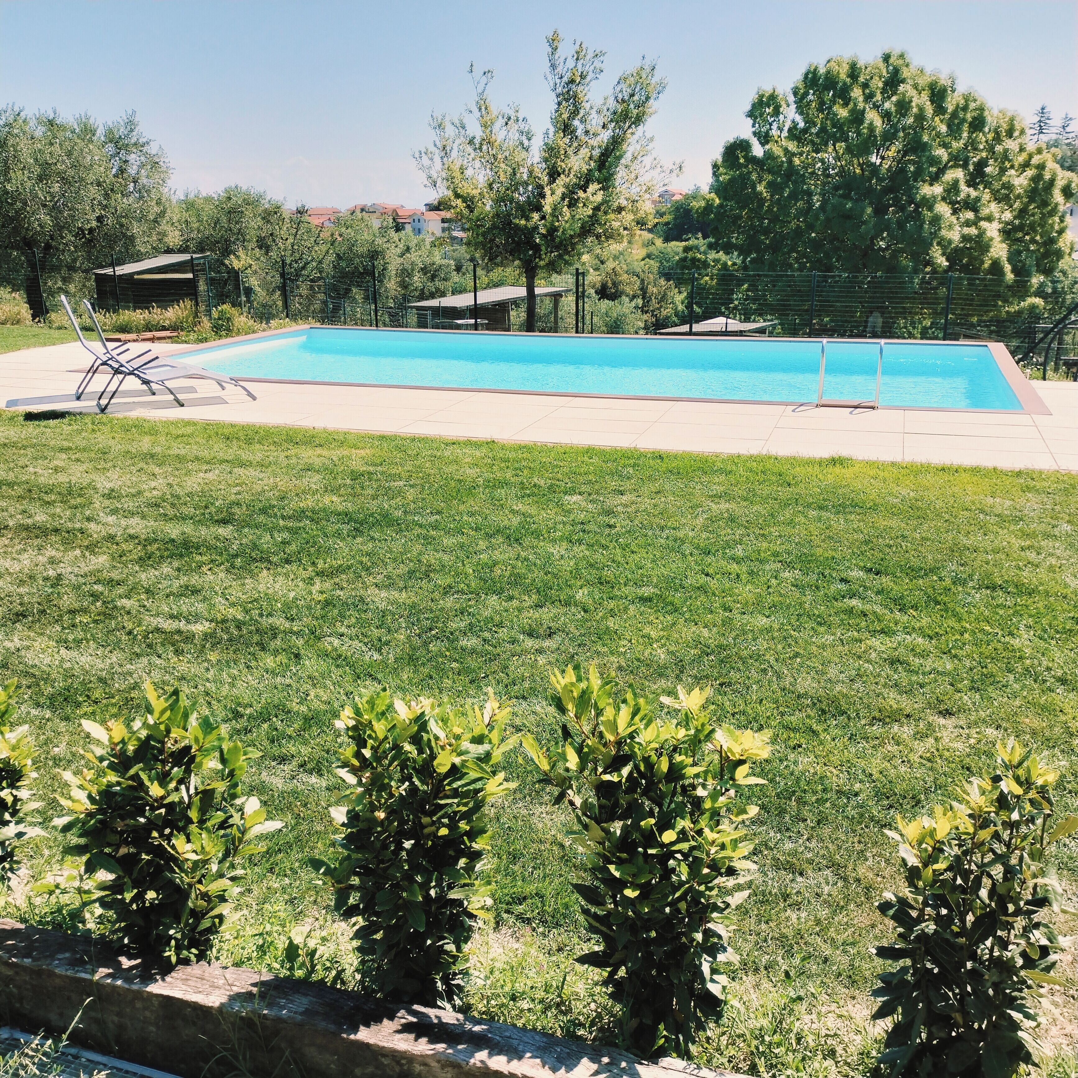 A rectangular swimming pool with a tiled deck, surrounded by a grassy lawn and small shrubs.