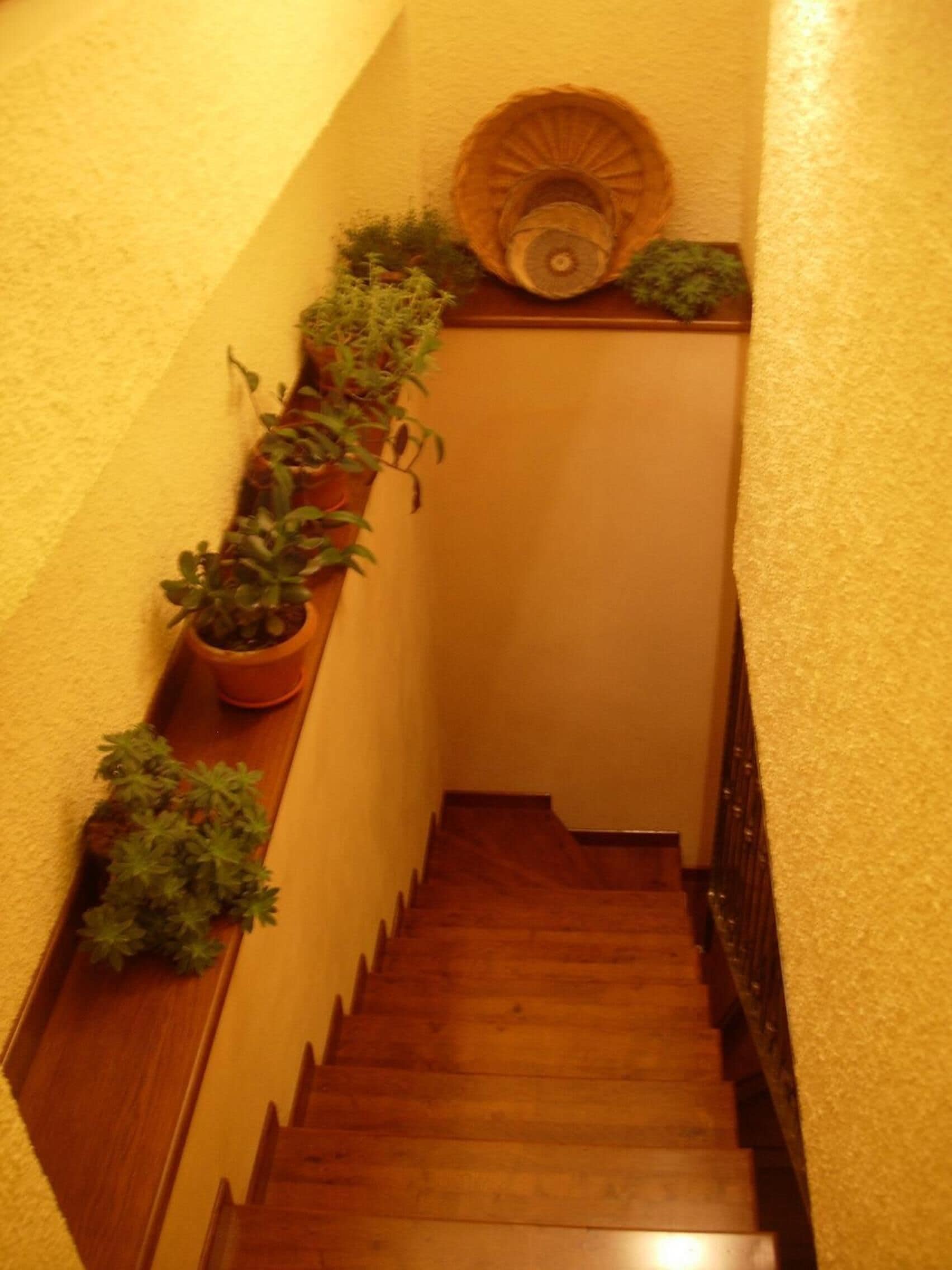 Una escalera de madera estrecha con barandilla, adyacente a paredes con textura.