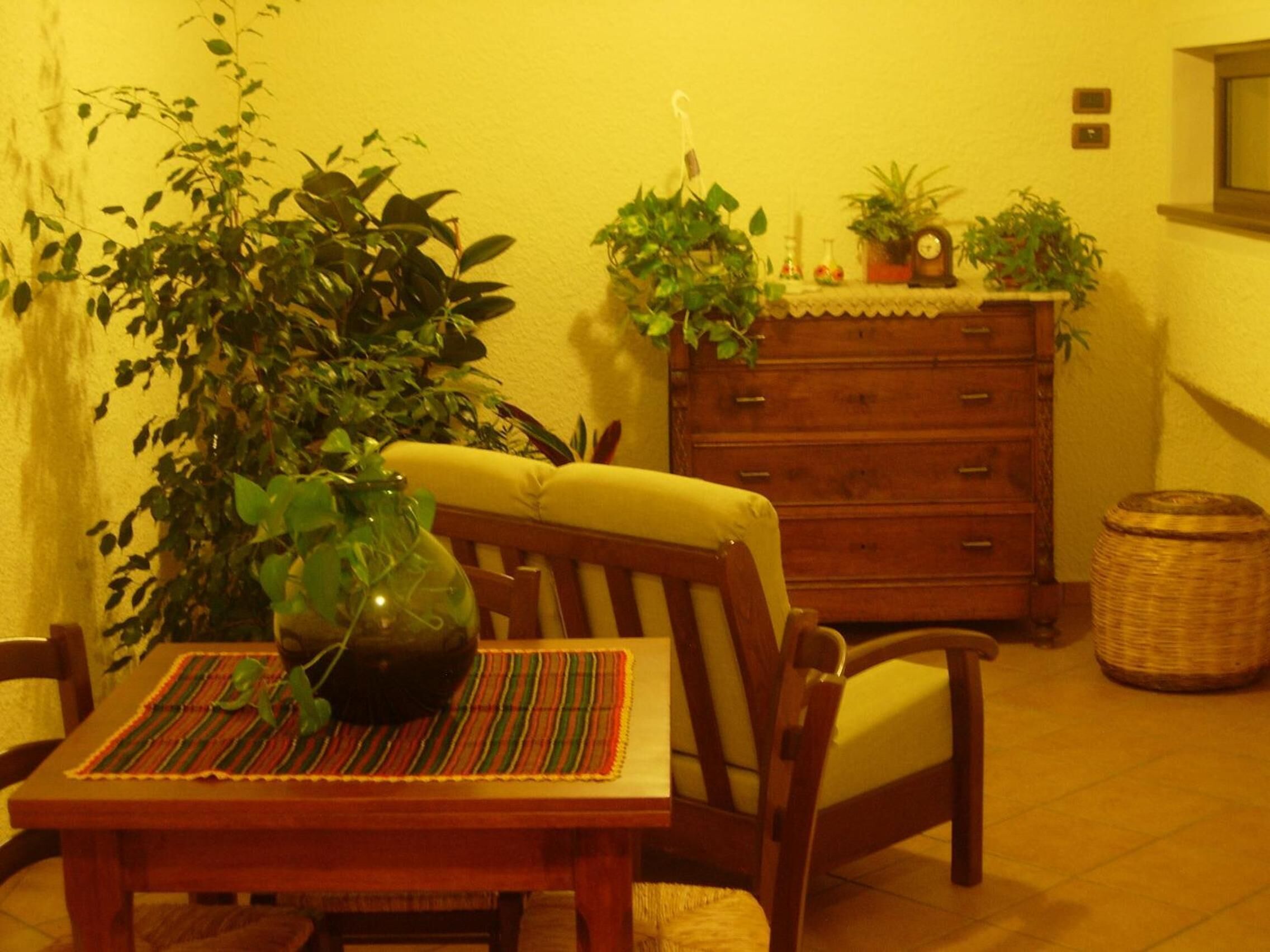 A dining area with a wooden table, chairs, and a vase of green plants. There is a wooden dresser with drawers and a wicker basket in the background.