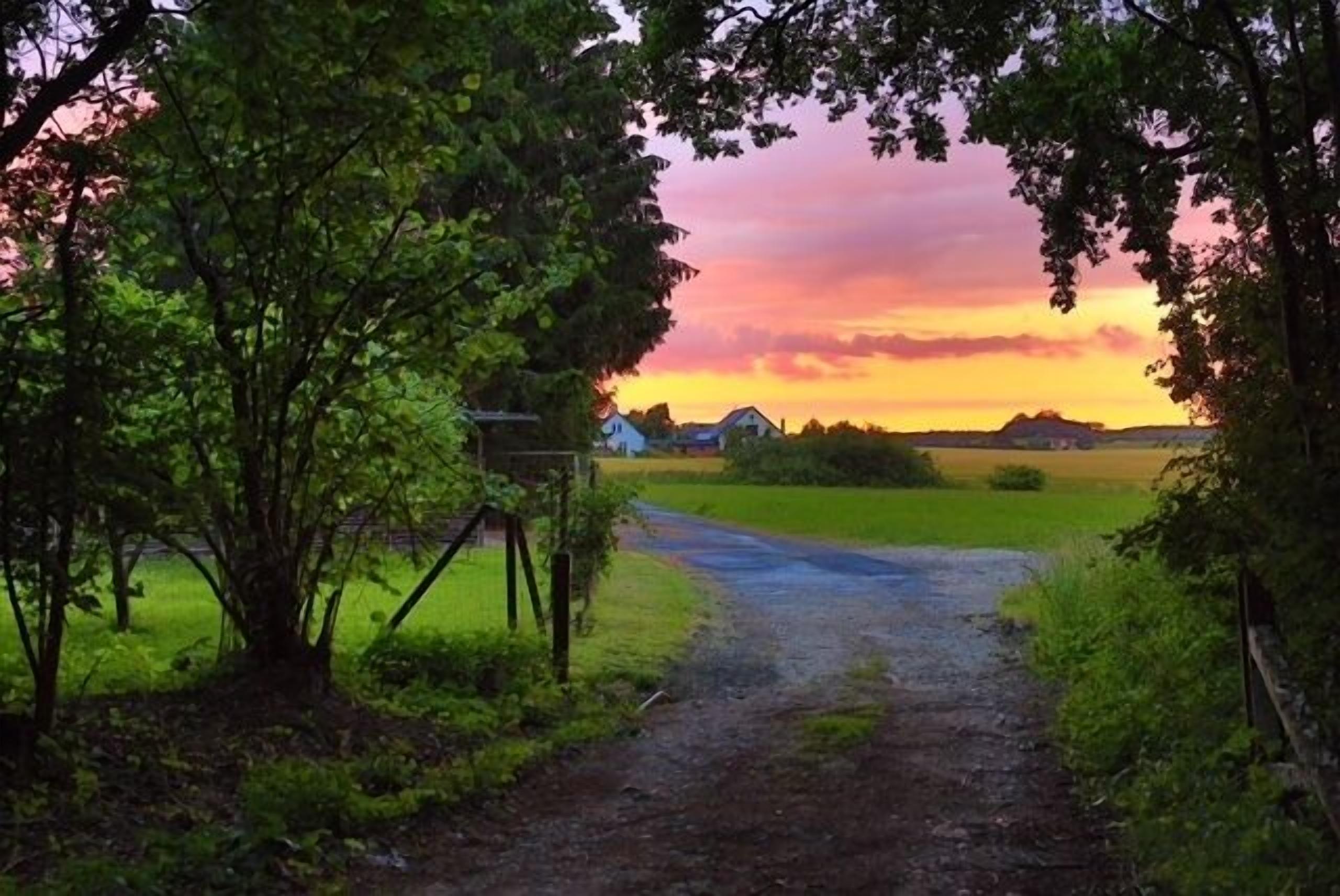 A rural road leading to a house surrounded by greenery and fields.