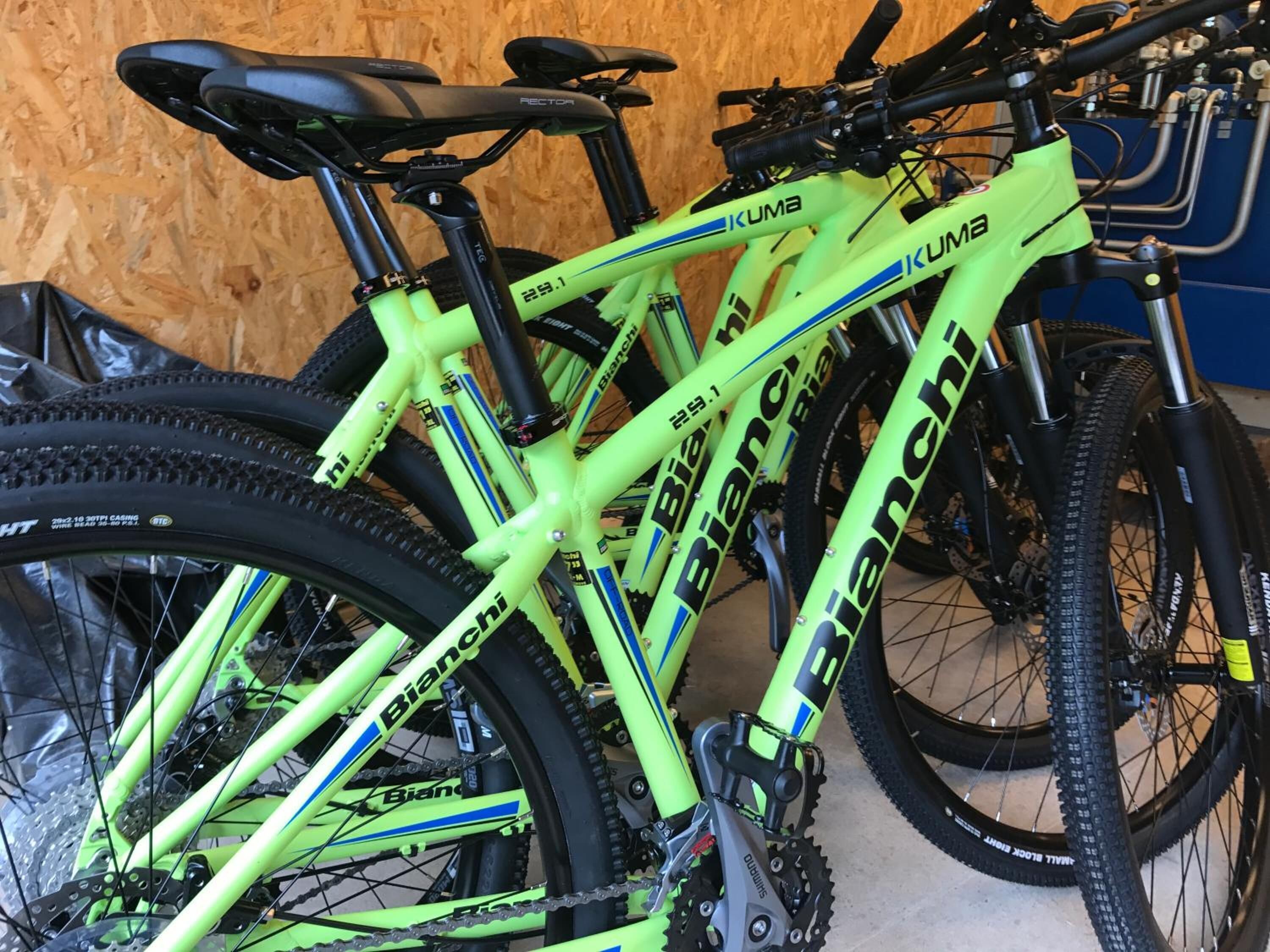 A bicycle with a bright green frame and black components, including the seat and handlebars.