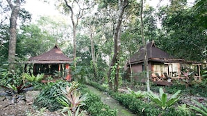 Bamboo Villa | In-room safe, desk - Bamboo Bungalows (Ranong)