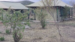 A row of simple, single-story buildings with flat roofs, surrounded by sparse vegetation and dry ground. - Destiny Eco Camp (Maasai Mara)