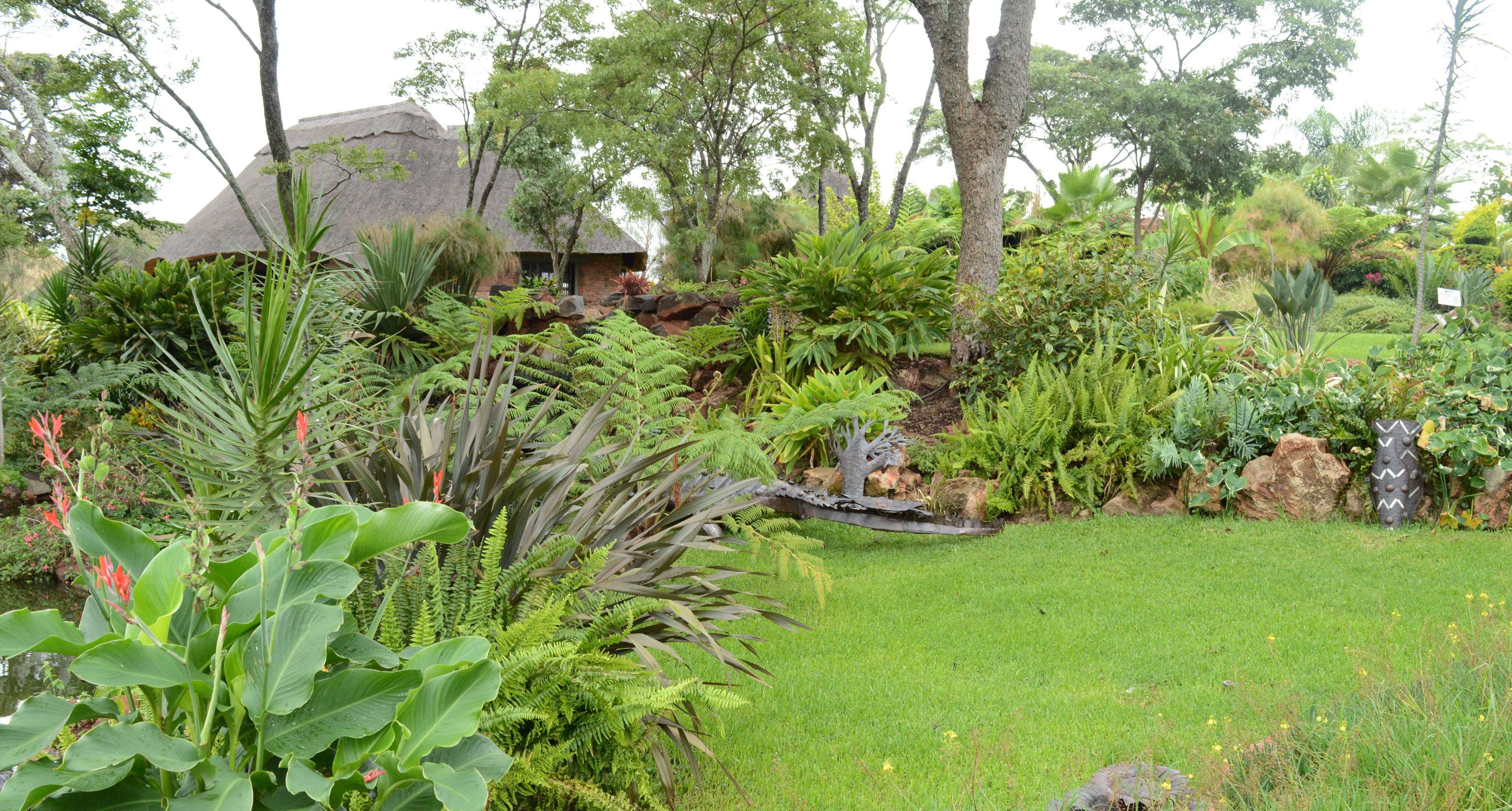 A lush garden with a variety of plants and a thatched-roof structure.