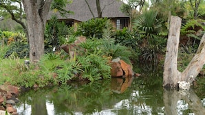 A pond surrounded by lush greenery and a thatched-roof building.
