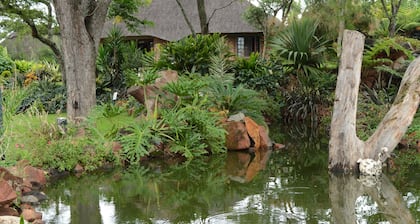 Manna Resorts