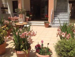 Property grounds - Kallitsakis Beach (Platanias)