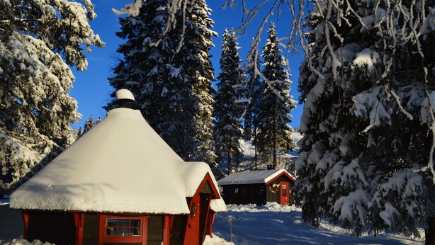 A snow-covered cabin with a thatched roof, surrounded by snow-laden trees.