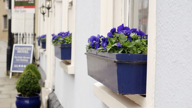 A row of windows with blue flower boxes containing purple flowers, a signboard, and a potted plant on the sidewalk. - Chantry Hotel (Bury St Edmunds)