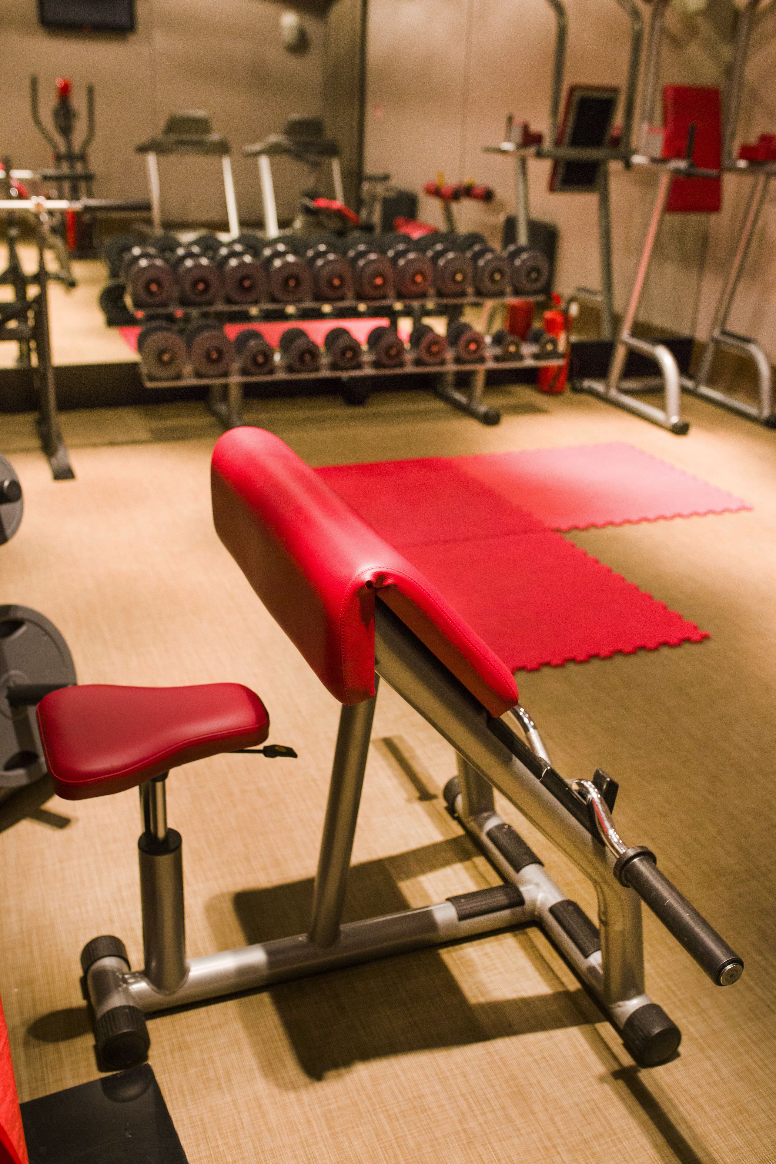 A gym with a red bench, black dumbbells, and a treadmill.