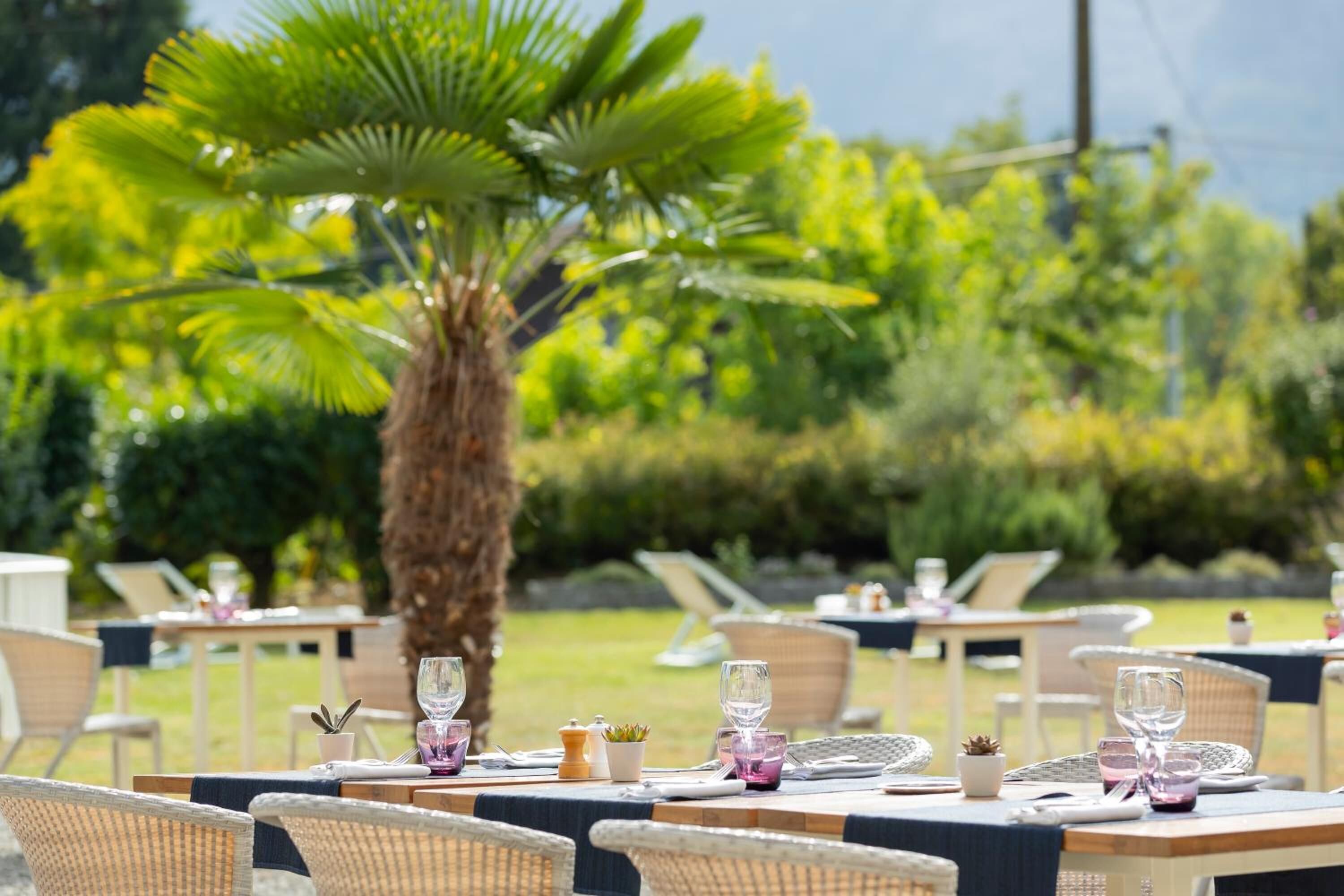 Un espace de restauration en plein air, avec des chaises et des tables en osier, entouré de verdure et d’un palmier.