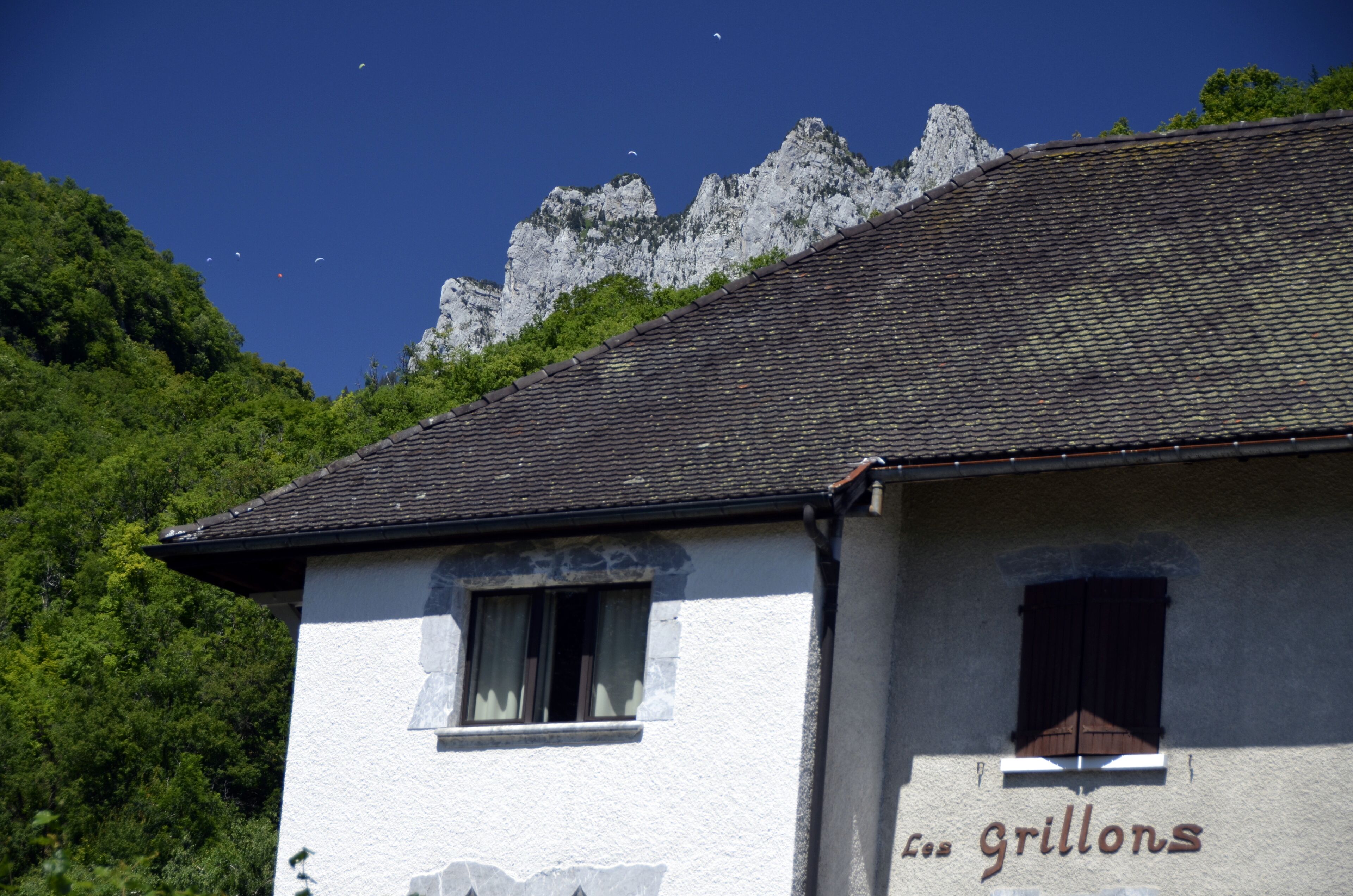 single room, courtyard area | premium bedding, in-room safe, desk, iron/ironing board