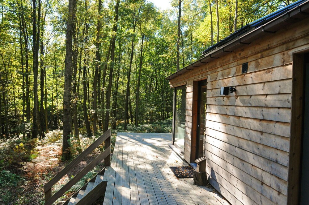 Modern chalet located in the woods