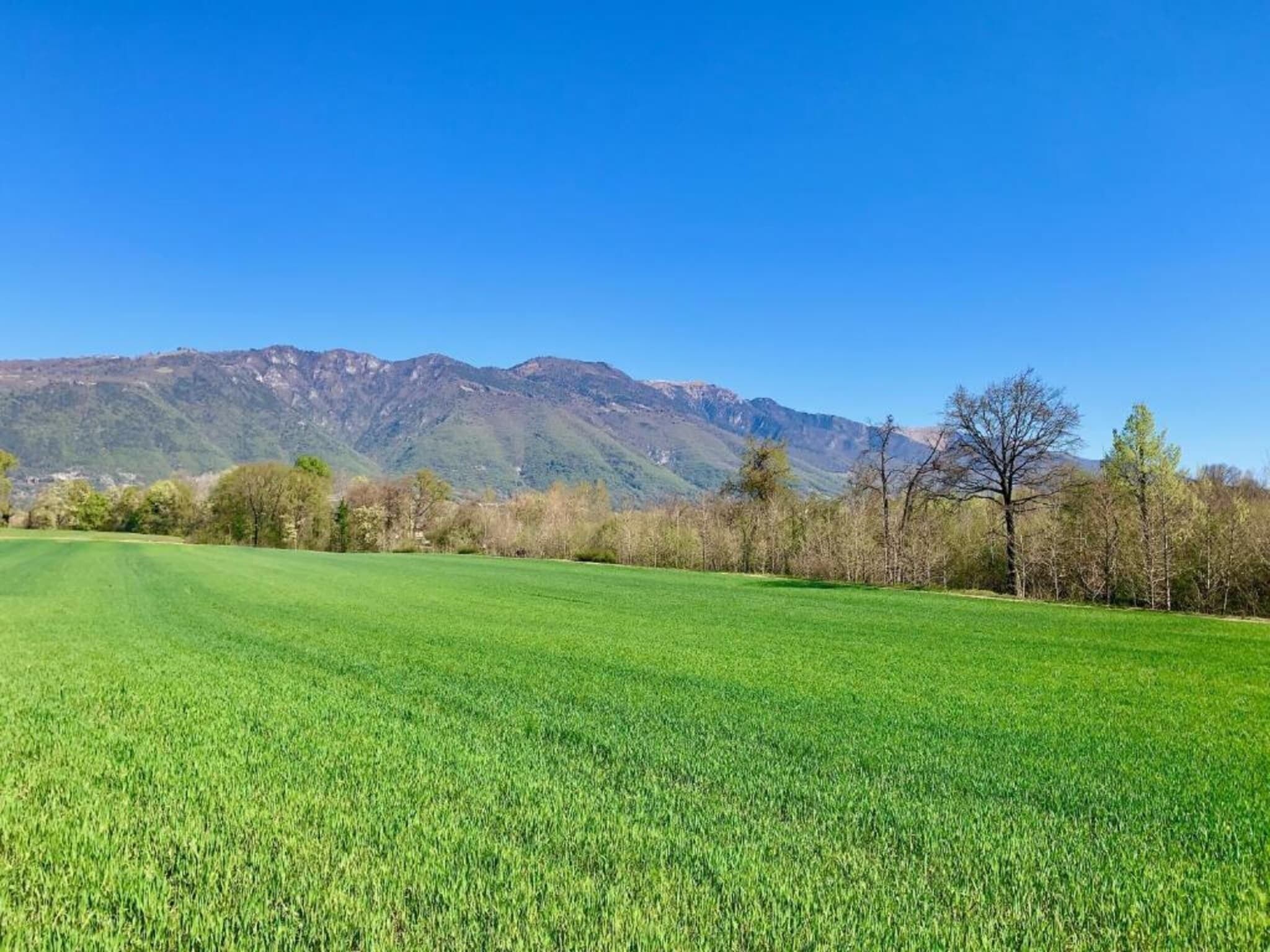 A vast green field with a mountain range in the background.