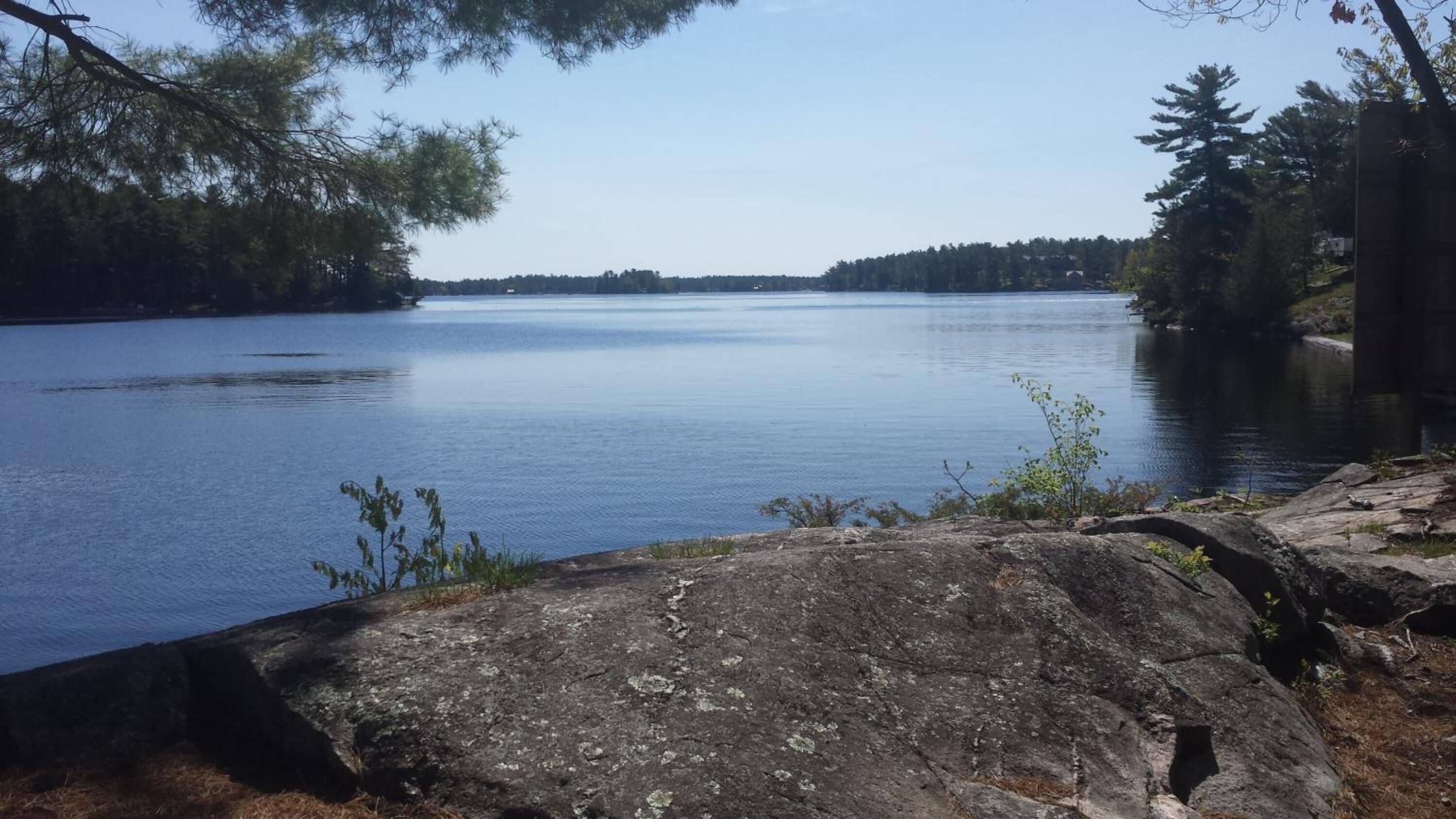 A calm lake with a rocky shoreline and trees in the background.
